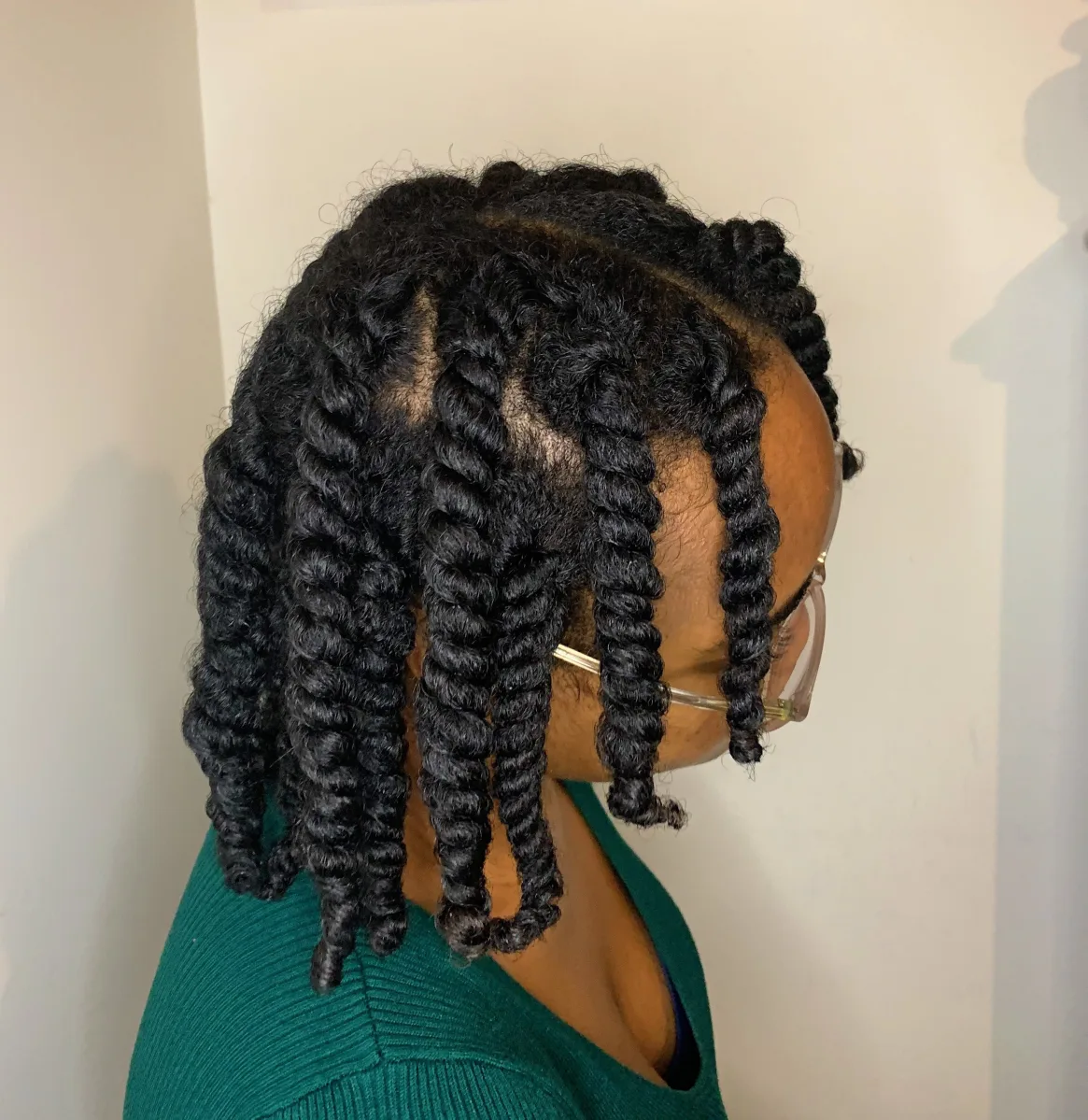 3 Tips for Juicy Two Strand Twists – Honest Hair Diary